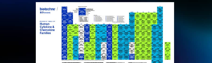 Bio-Techne’s Periodic Table of Human Cytokine & Chemokine Families poster