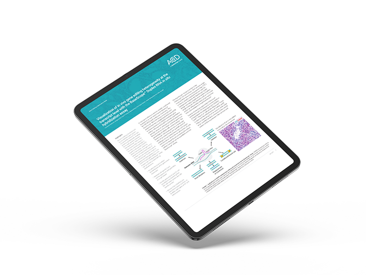 visualization in vivo gene editing