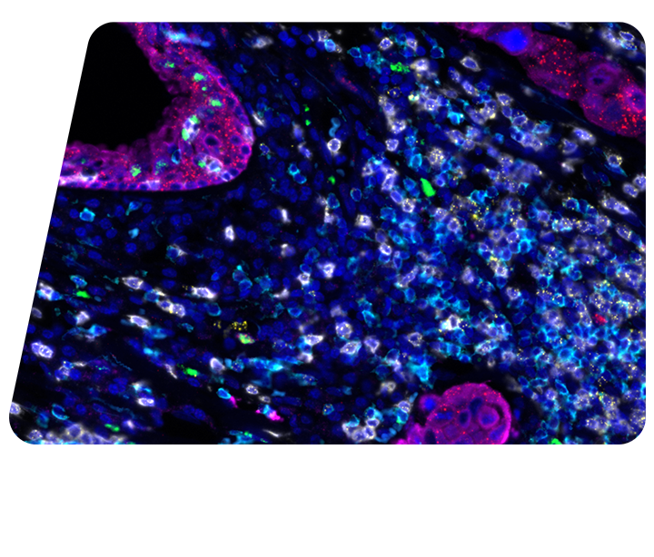 ProximityScope Assay Hero Image