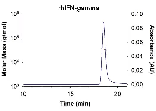 SEC-MALS graph of recombinant human IFN-gamma protein determined to be a homodimer