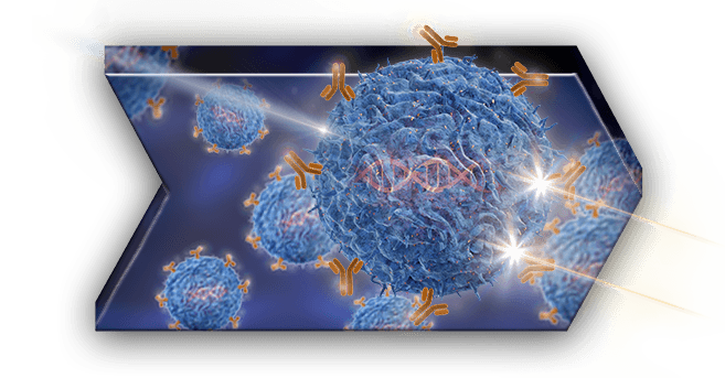 graphic of cell characterization