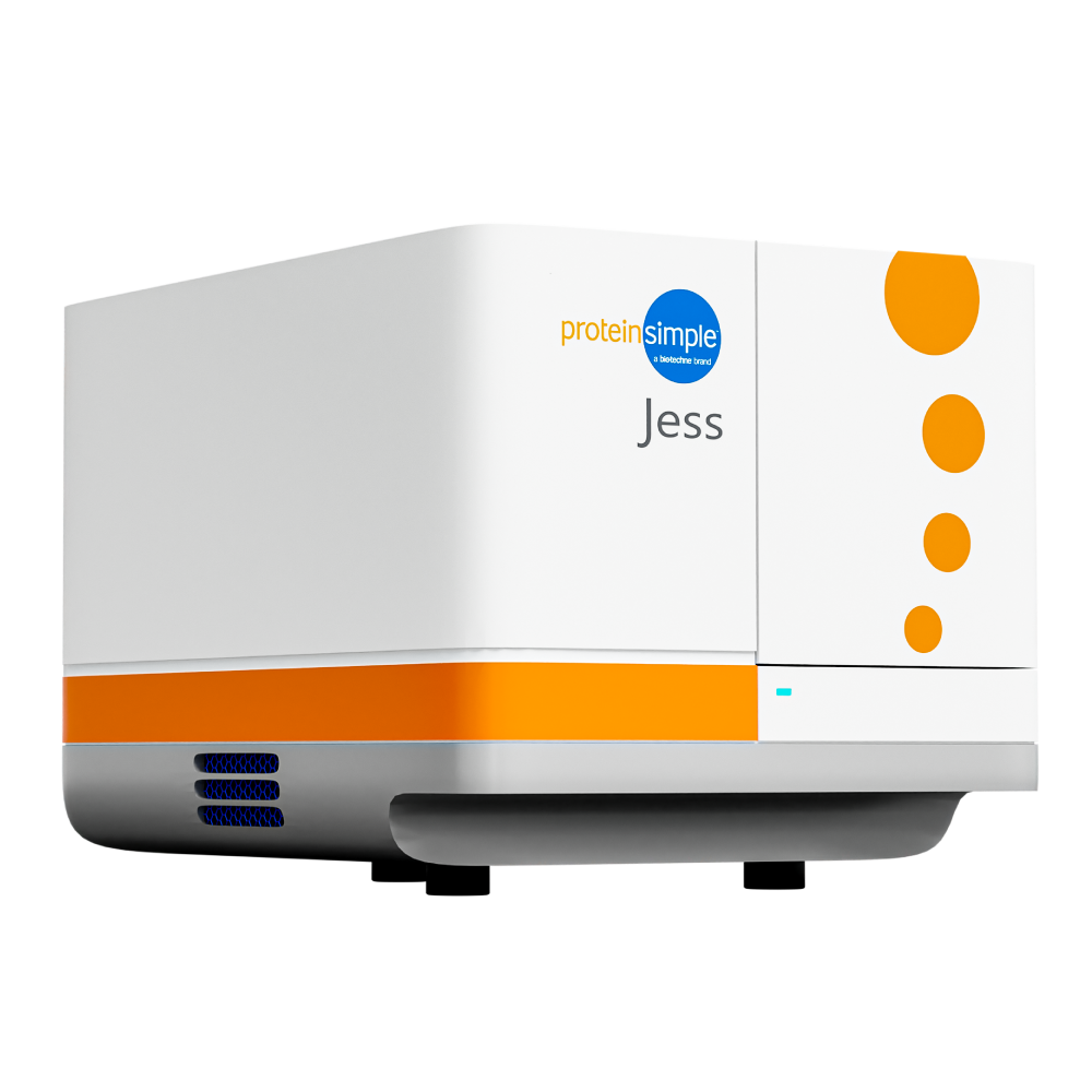 Jess, a Simple Western automated Western blot platform