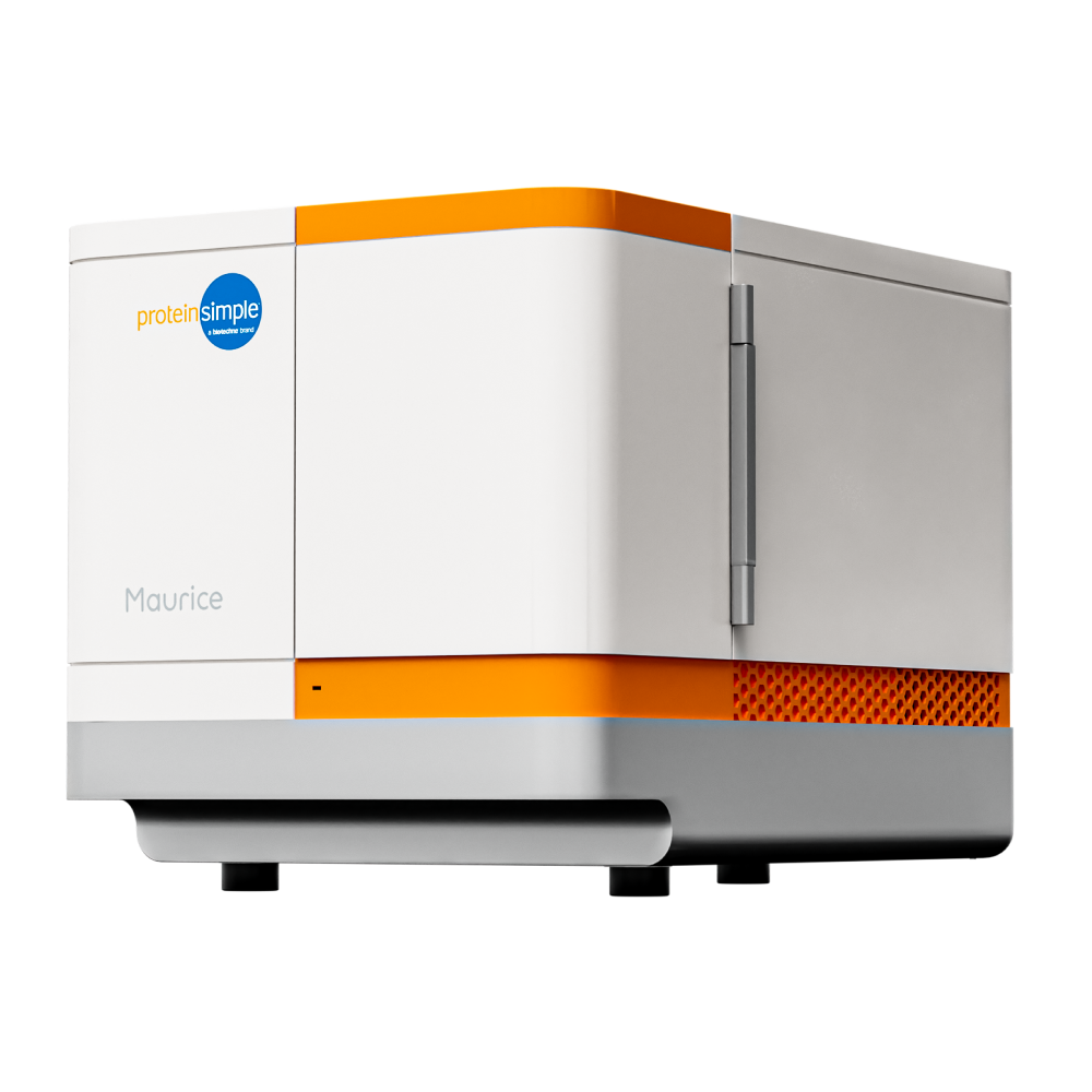 Maurice, the all-in-one capillary electrophoresis instrument for icIEF and CE-SDS