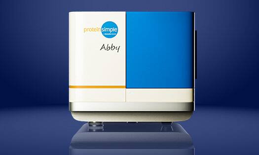 Automated western system with Abby