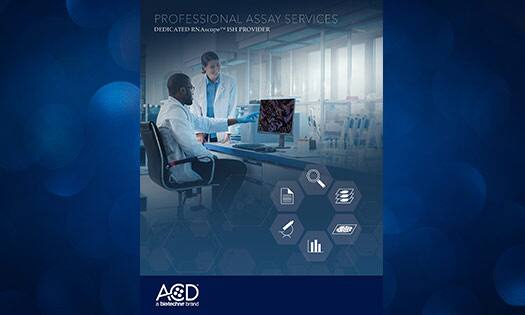 Assay Brochure Image