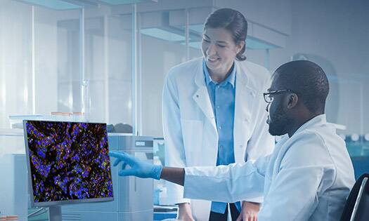 Scientists at Computer - CGT Services