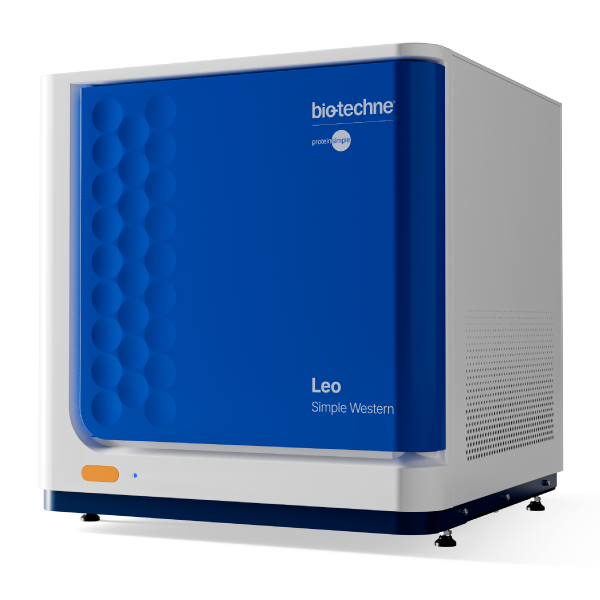 Simple Western System for high-throughput quantitative western analysis