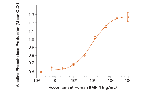 Alkaline phosphatase production induced by R&D Systems Recombinant Human BMP-4 in the ATDC5 mouse chondrogenic cell line