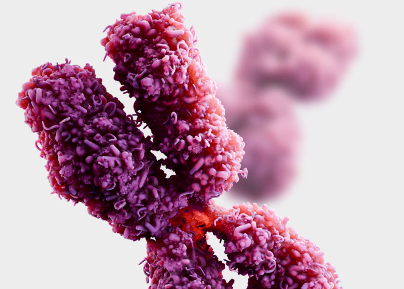 Amplidex Genetic Testing 3D