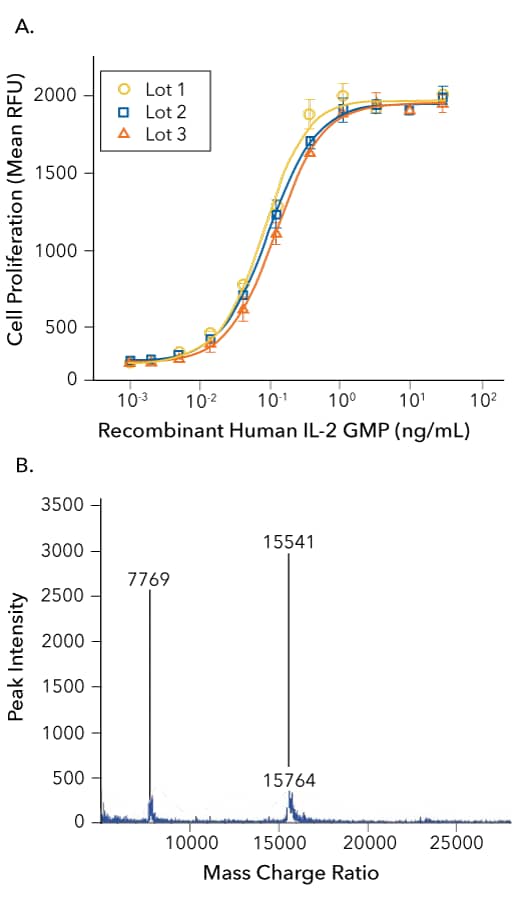 Analysis of GMP-grade Recombinant Human IL-2-induced mouse cytotoxic T cell proliferation and lot-to-lot consistency