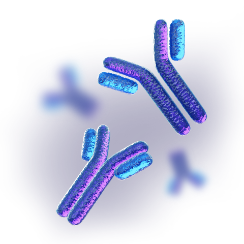 antibody 3d imagery