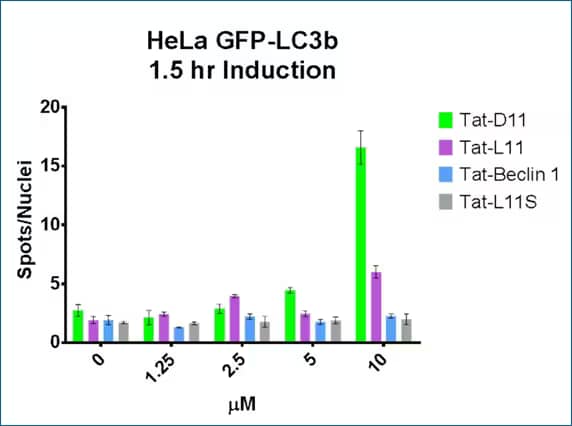 Tat-D11 and Tat-L11 are specific and potent autophagy inducers