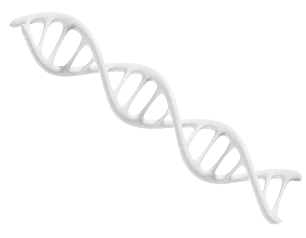 BDD Molecular Kits Header Banner Foreground