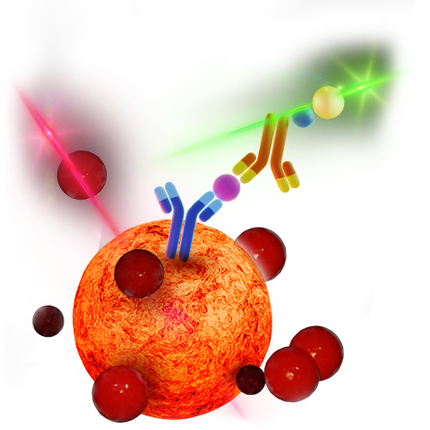 Luminex Assays, Multiplex Immunoassays | Bio-Techne