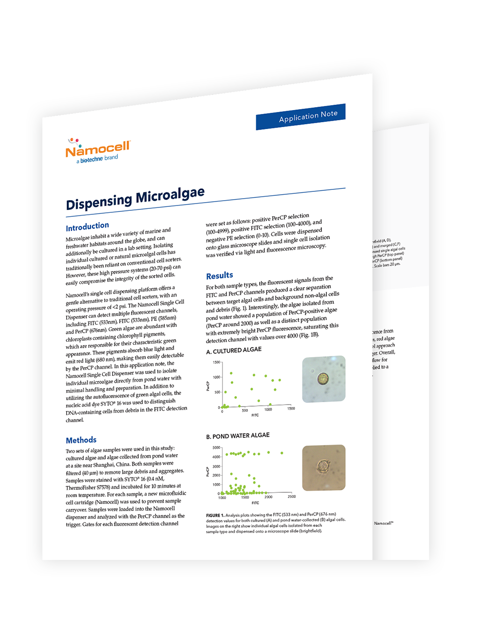 This application note discusses the use of single cell dispensing platform from Bio-Techne. These single cell dispensing instruments were used to isolate individual microalgae directly from pond water.