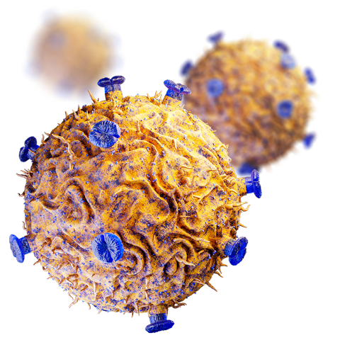 CAR T cells