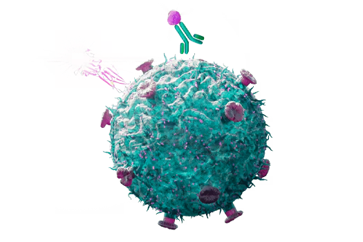 Car T Car NK Cell