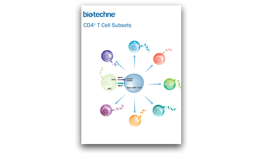 Thumbnail image of the cover of R&D Systems CD4+ T Cell Subsets Product Guide