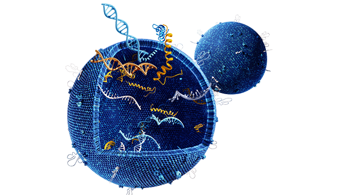 exosome cell with enzymes exposed