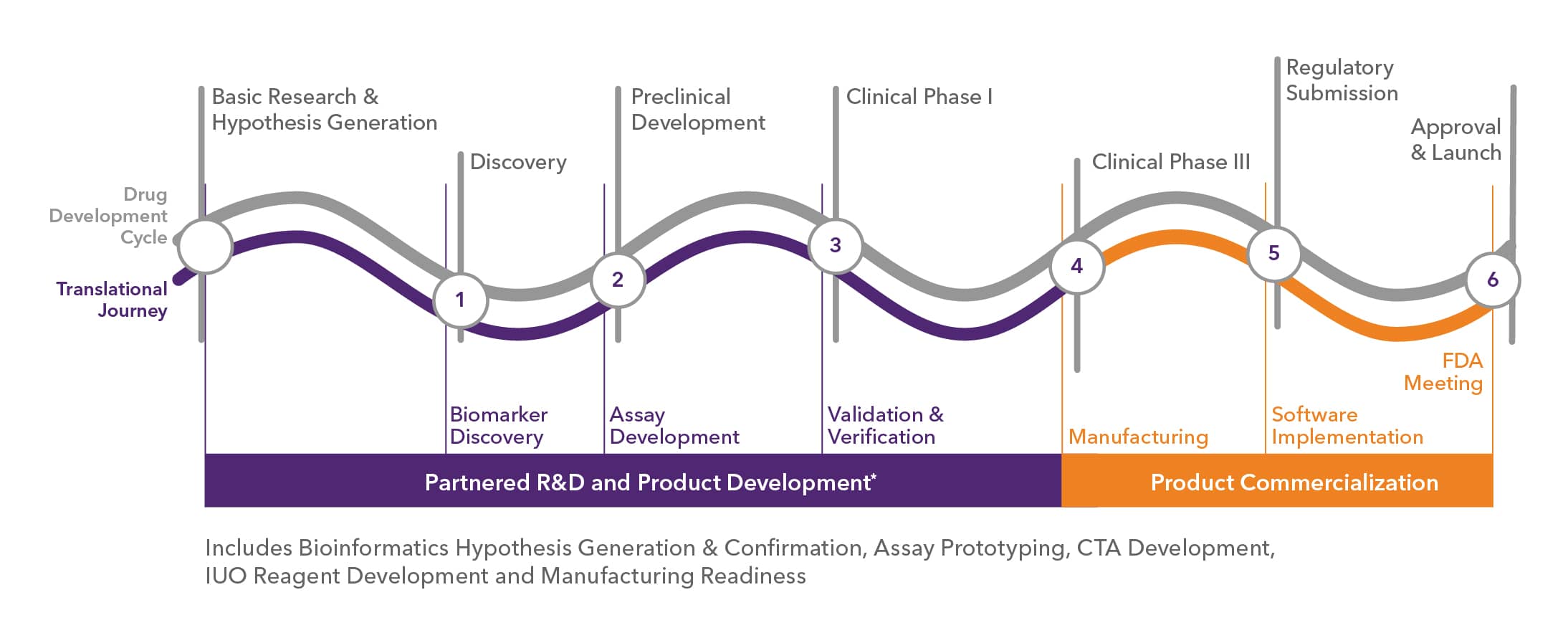 Companion Diagnostics Development Process