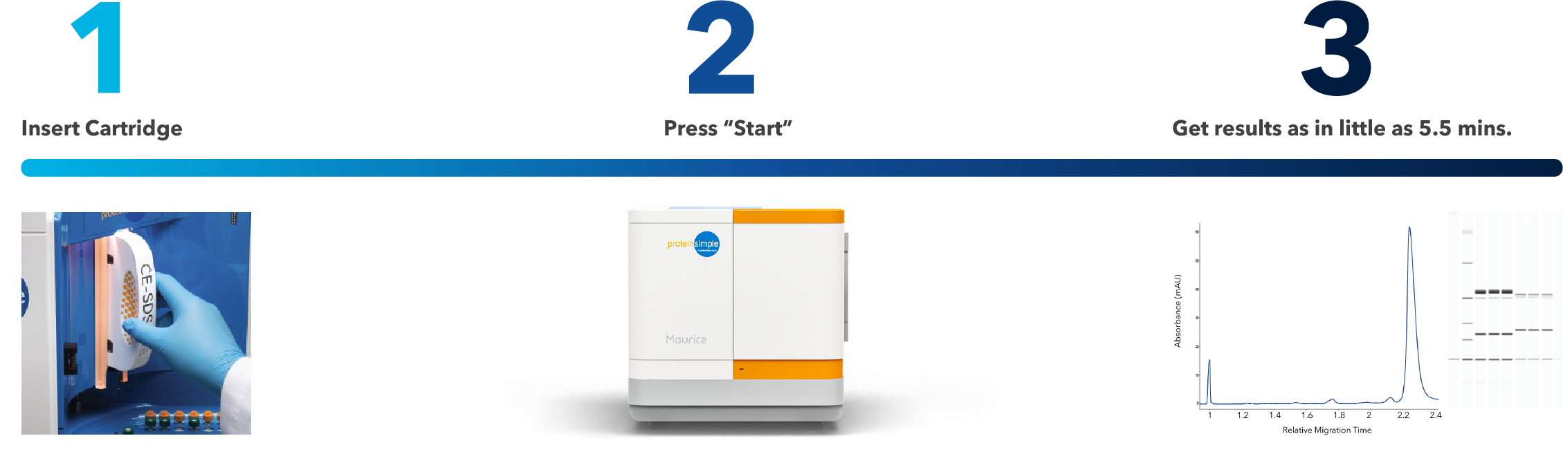 The Maurice™ system enables CE-SDS analysis, providing results in as little as 5.5 minutes per sample.