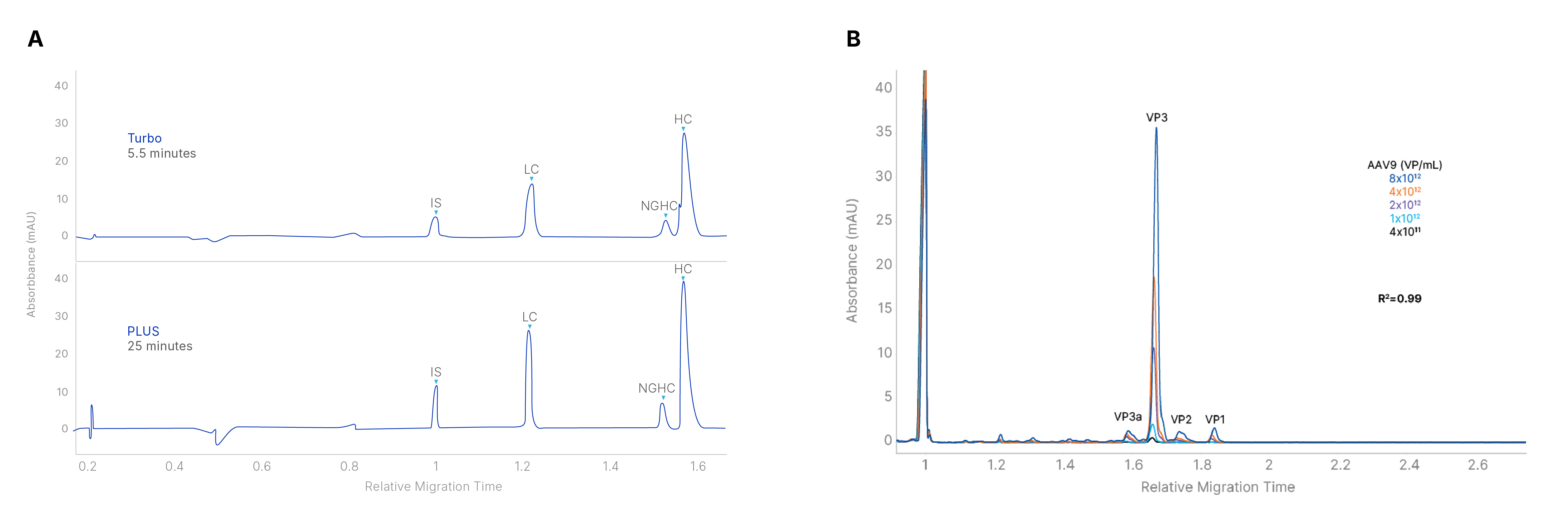 CE-SDS Analysis with Maurice