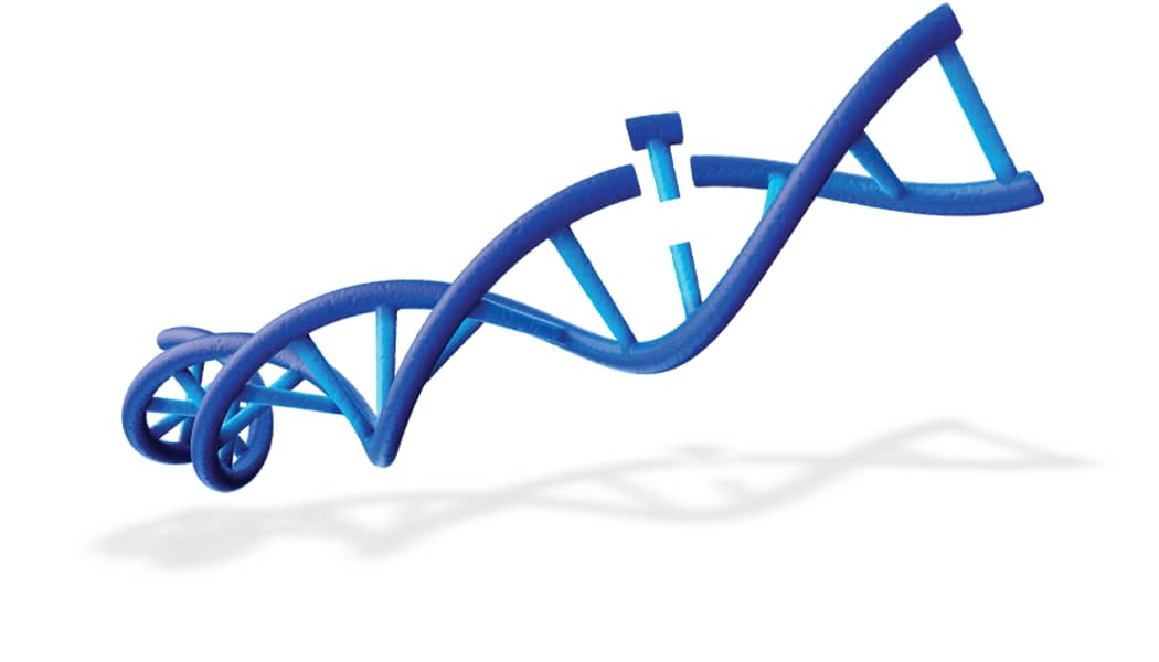 Adeno-Associated Viruses 