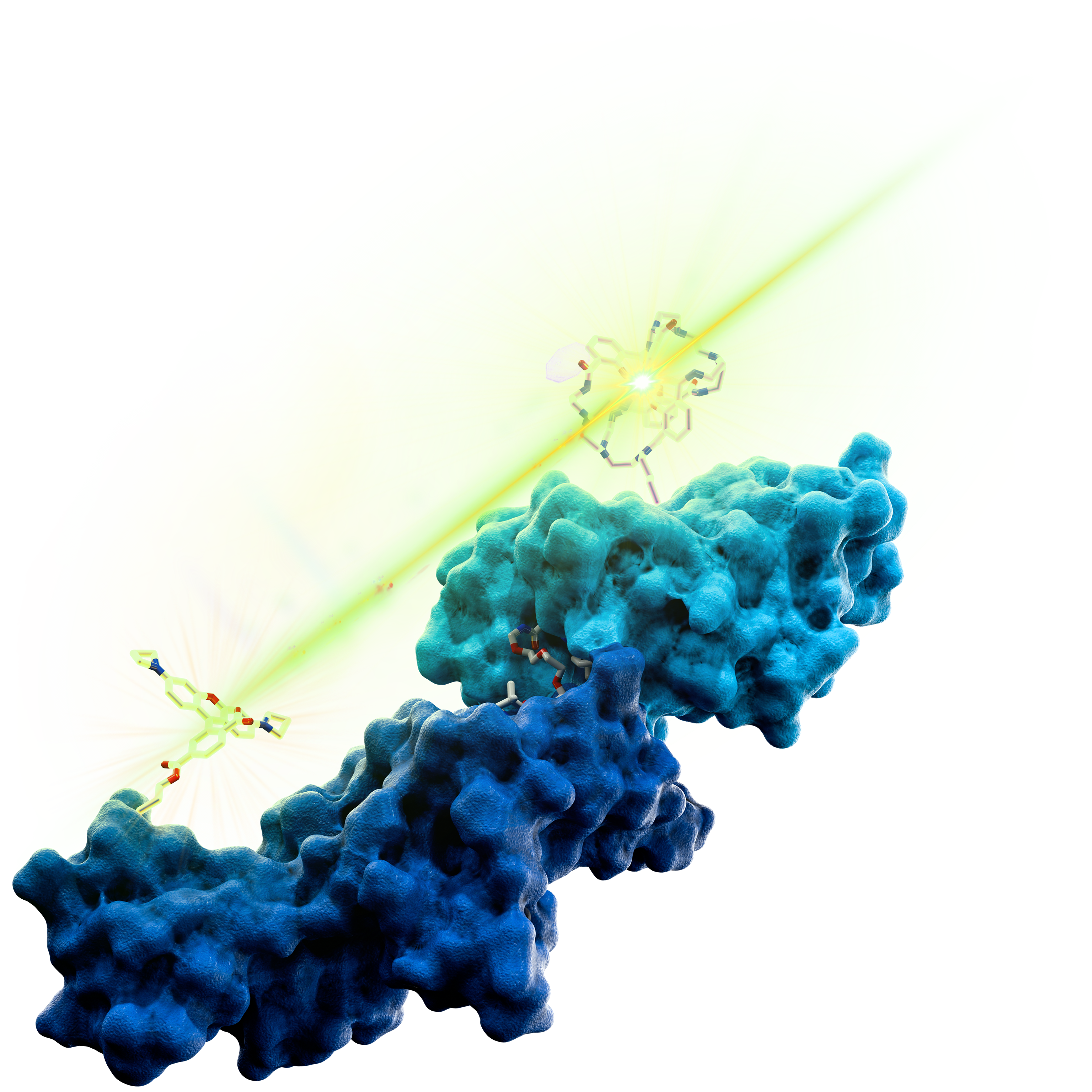 3D representation of the mechanism of action of corafluor probes as TR-FRET donors 