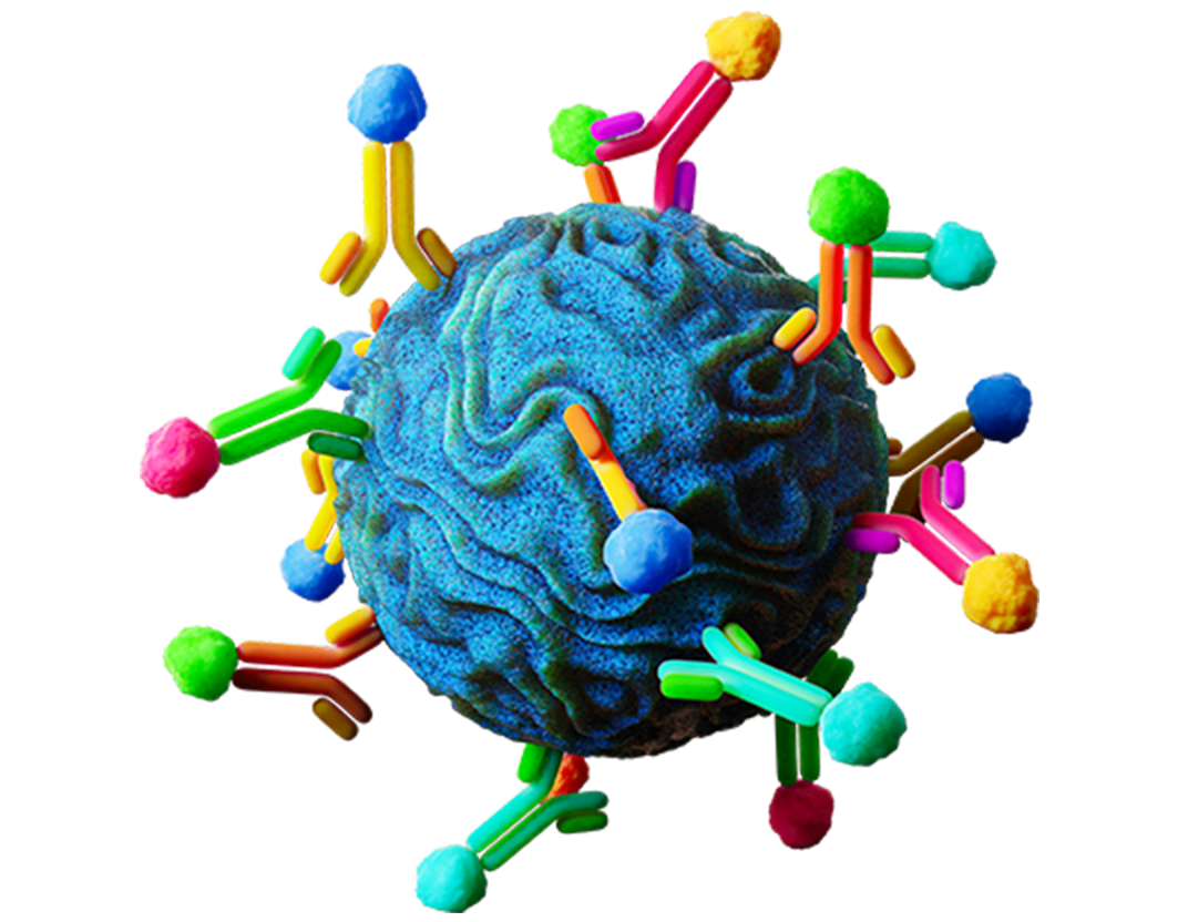 BDD Diagnostic Development & Manufacturing Hero Foreground