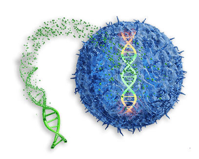 Gene Engineering Services Foreground