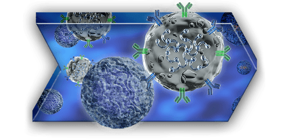 Isolation and Cell Culture for T Cells