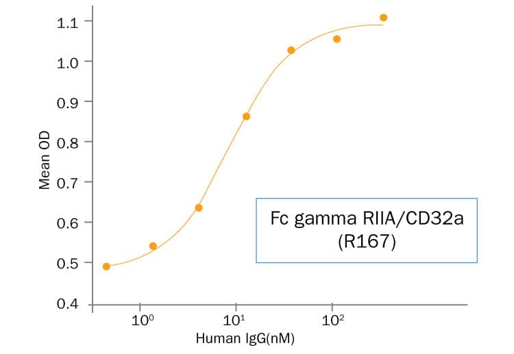 Fc Receptor Reagents