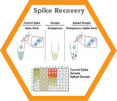 Elisa spike recovery