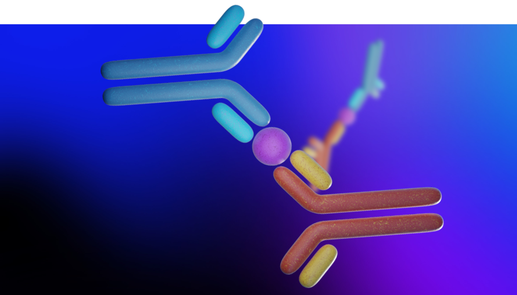 3D rendering of a sandwich ELISA