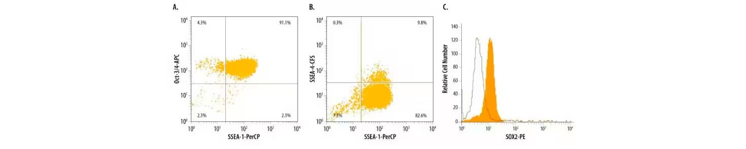 Mouse D3 embryonic stem cells were analyzed for expression of pluripotent markers including SSEA-1, SSEA-4, Oct-3/4, and SOX2 by flow cytometry.