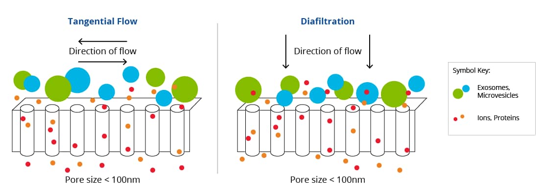 Illustration of ultrafiltration techniques using tangential flow filtration and traditional diafiltration.