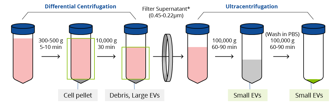 Illustration of example ultracentrifugation protocol for exosome isolation.