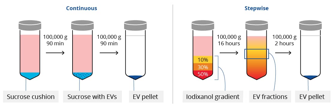 Illustration of continuous density ultracentrifugation technique for exosome isolation.