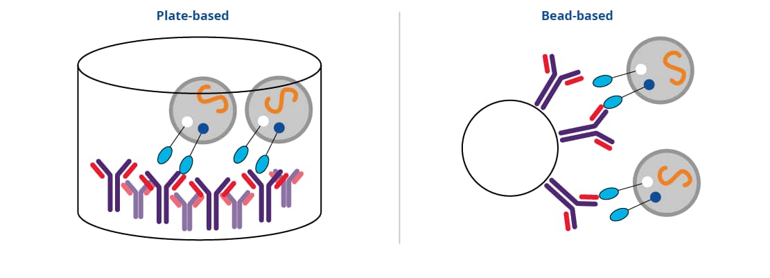 Close up view of one well of 96-well plate showing exosome binding to antibody coated well.