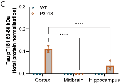 pt181 Expression Figure