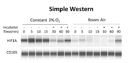 Image of immunohistochemistry and RNA in situ hybridization staining of monocyte marker CD11b. Small circular badge with horizontal bar graph indicating orthogonal strategies validation.