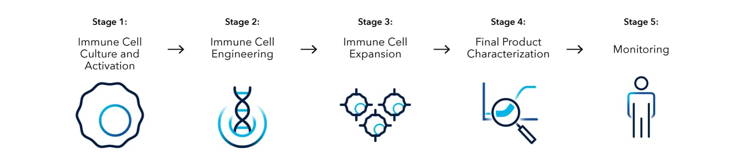 Immune Cell Therapy Workflow