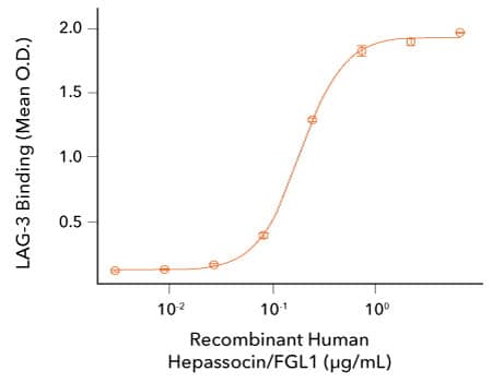 Analysis of the binding response between R&D Systems Recombinant Human LAG-3 and Recombinant Human FGL-1 proteins.