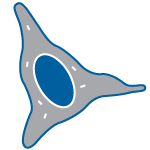 Mesenchymal Stem Cells Icon