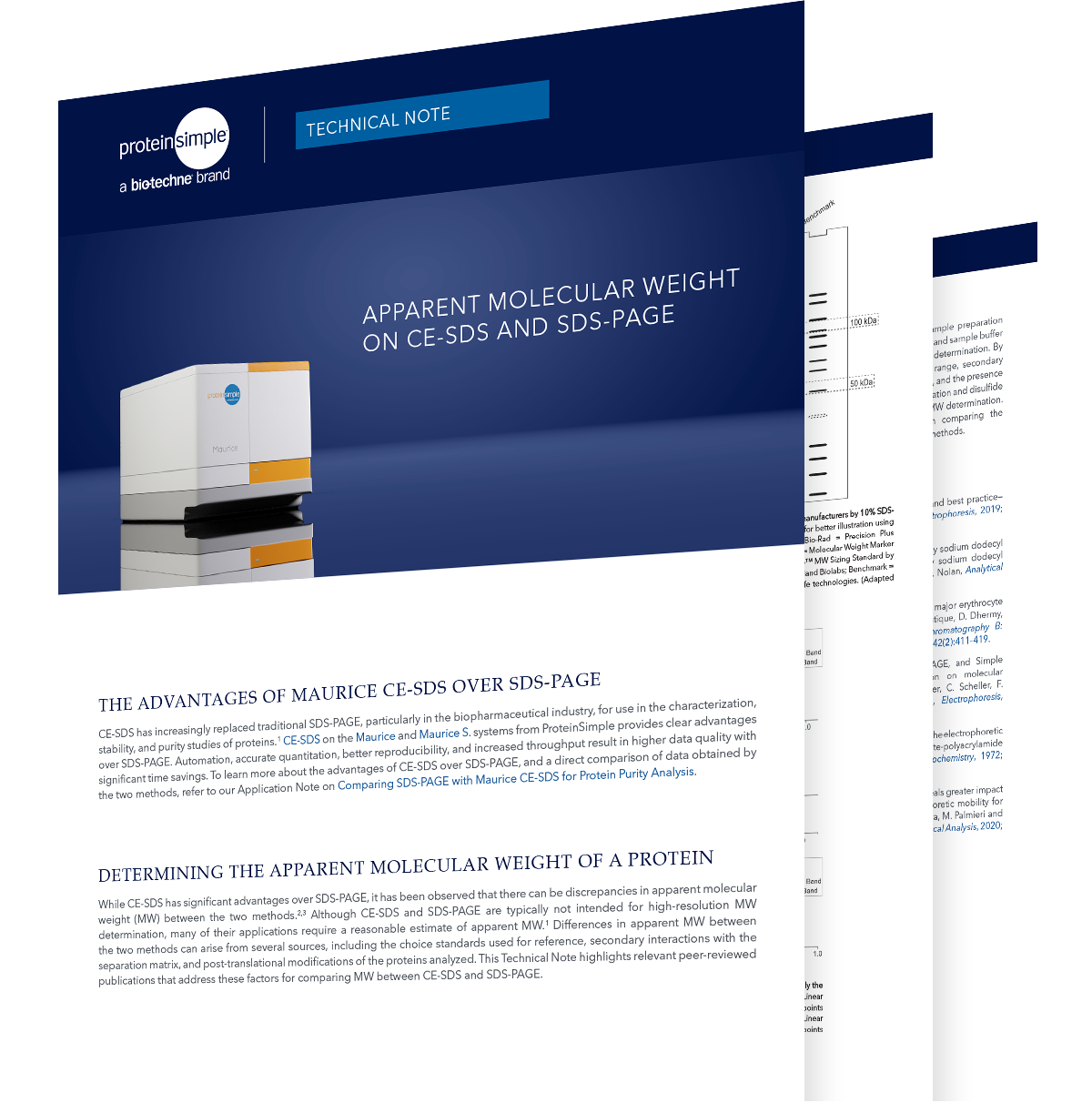 Molecular Weight on CE-SDS and SDS-PAGE Thumbnail