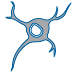 Neural Stem Cells Icon