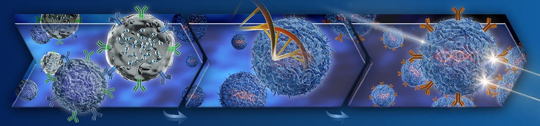 Simplified Solutions for T Cells from Development to Commercialization