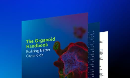  Image of pages from the organoid handbook