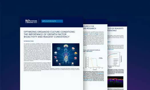 Image of pages from the organoid culture application note