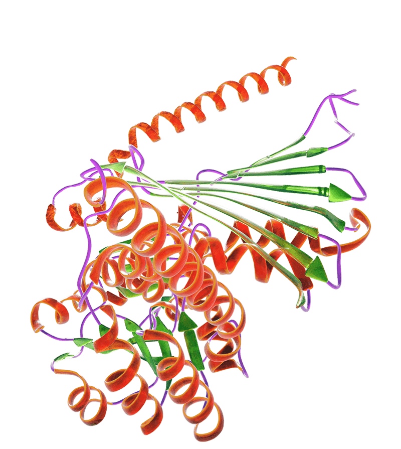 Proteins